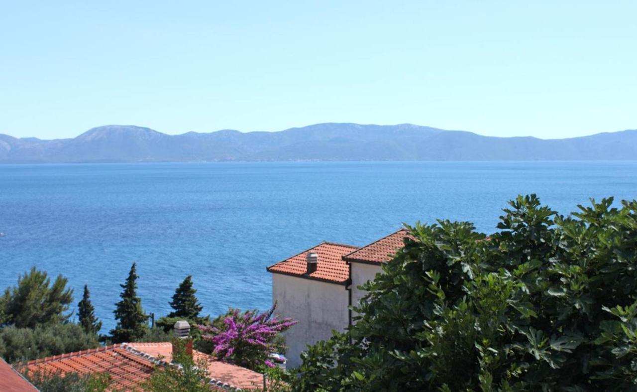 Vila Stefan Hotel Podaca Bagian luar foto